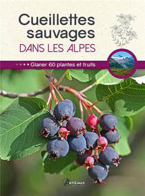 Cueillettes sauvages dans les alpes