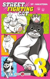 Street fighting cat Tome 3