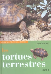 Les tortues terrestres