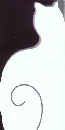 La langue aux chats - chat blanc