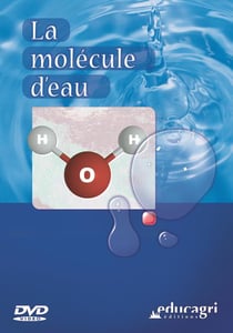 La molécule d'eau