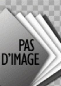 Le crétin tel qu'on le parle