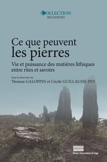 Ce que peuvent les pierresVie et puissance des matières lithiques entre rites et savoirs : Vie et puissance des matières lithiques entre rites et savoirs