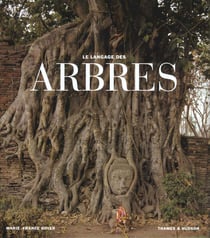 Le langage des arbres