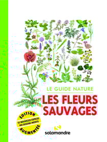 Le guide nature : le guide nature les fleurs sauvages (2e édition)