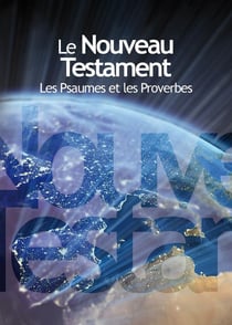 Nouveau testament gros caractères