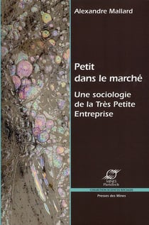 Petit dans le marché - une sociologie de la très petite entreprise