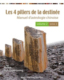 LES 4 PILIERS DE LA DESTINEE - VOL 2 (2E ED) EN COULEUR