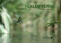 Voyage en caloptérie
