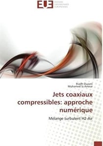 Jets coaxiaux compressibles : approche numérique - mélange turbulent H2-air