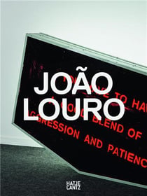 Joao louro i will be your mirror poems and problems (portuguese pavilion at the venice biennale 2015