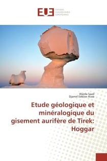 Étude géologique et minéralogique du gisement aurifère de Tirek : Hoggar