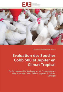 Evaluation des  souches cobb 500 et jupiter en climat tropical
