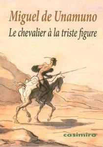 Le chevalier a la triste figure