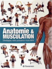 Anatomie & musculation - développez votre puissance musculaire