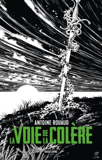 Le livre et l'épée Tome 1 : La voie de la colère