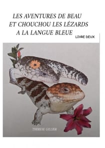 Les aventure de Beau 2