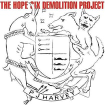 The hope six demolition project
