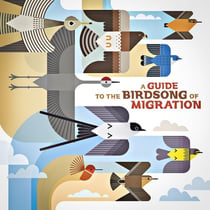A Guide To The Birdson Of Migration