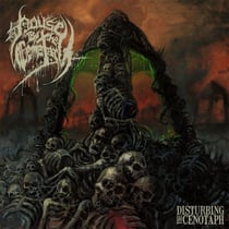 Disturbing The Cenotaph