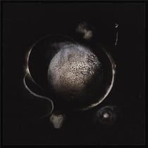 Cold black suns