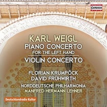 Piano concerto, violin concerto