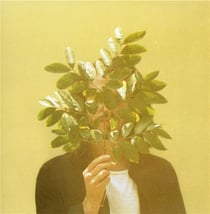 French Kiwi Juice