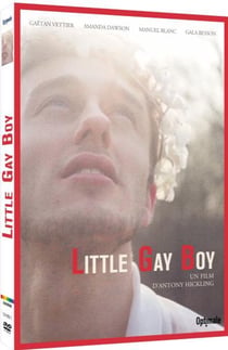 Little Gay Boy : un triptyque d'Antony Hickling