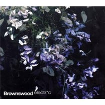 Gilles peterson presents : brownswood electric