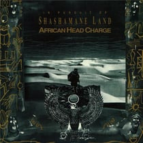 In Pursuit Of Shashamane Land