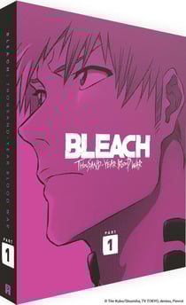 Bleach : Thousand-Year Blood War - Partie 1