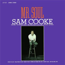 Mr. Soul