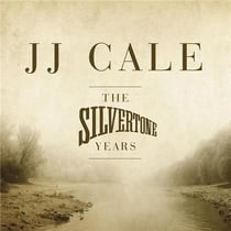 Silvertone Years - édition 180g