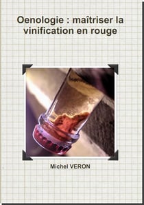 Oenologie : maitriser la vinification en rouge