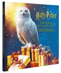 Harry Potter : calendrier de l'avent pop-up Hedwige