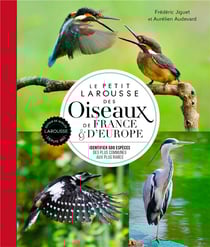 Le petit larousse des oiseaux de france & d'europe : identifier 500 espèces des plus communes aux plus rares