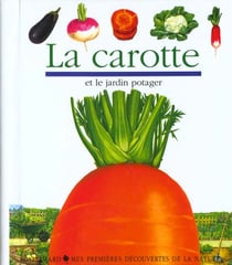 La carotte et le jardin potager
