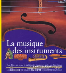 La musique des instruments - des flutes en os de la prehistoire jusqu'aux guitares electriques