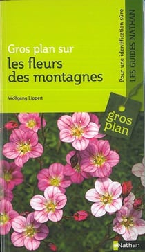 Gros plan sur : les fleurs des montagnes