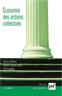 Économie des actions collectives