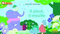 Il pleut, il mouille