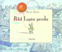 Petit lapin perdu