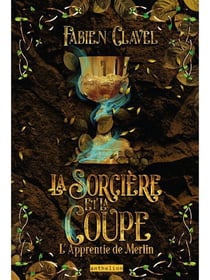 L'apprentie de Merlin : La sorcière et la coupe