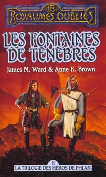 La trilogie des héros de Phlan Tome 2 - la fontaine des ténèbres