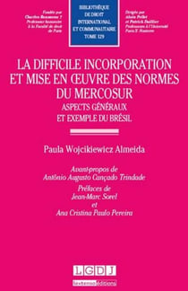 La difficile incorporation et mise en oeuvre des normes du Mercosur : aspects généraux et exemple du Brésil