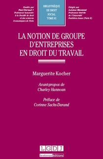 Le notion de groupe d'entreprise en droit du travail