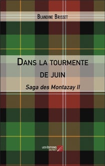 Dans la tourmente de juin : saga des Montazay II