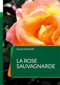 La Rose sauvagnarde : Faits divers en Forez