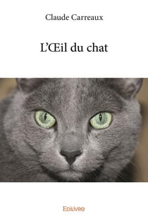 L'oeil du chat