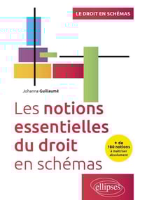 Les notions essentielles du droit en schémas : + de 180 notions à maîtriser absolument